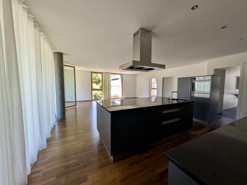 Helle 3.5-Zimmer mit Teil-Seesicht und Loftcharakter ruhig und grosszügig am Zürichsee (2)