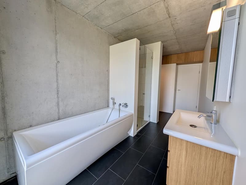 Helle 3.5-Zimmer mit Teil-Seesicht und Loftcharakter ruhig und grosszügig am Zürichsee (10)