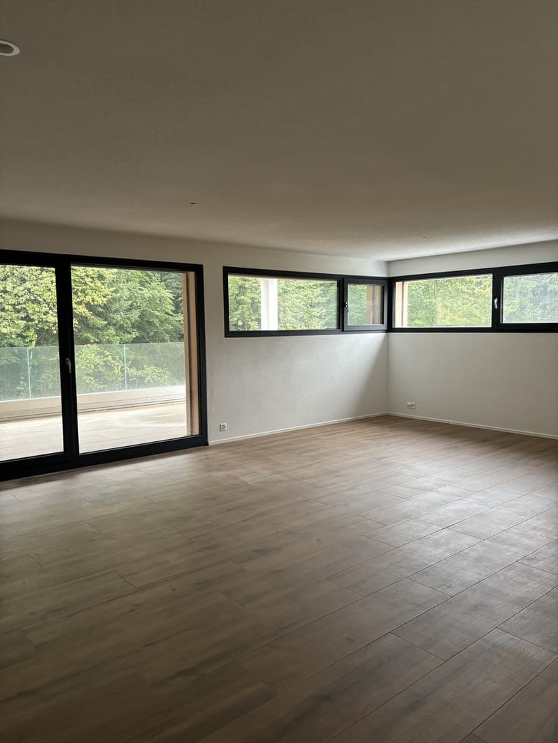 Helle, grosszügige 1.5-Zimmerwohnung  modern & gemütlich (2)