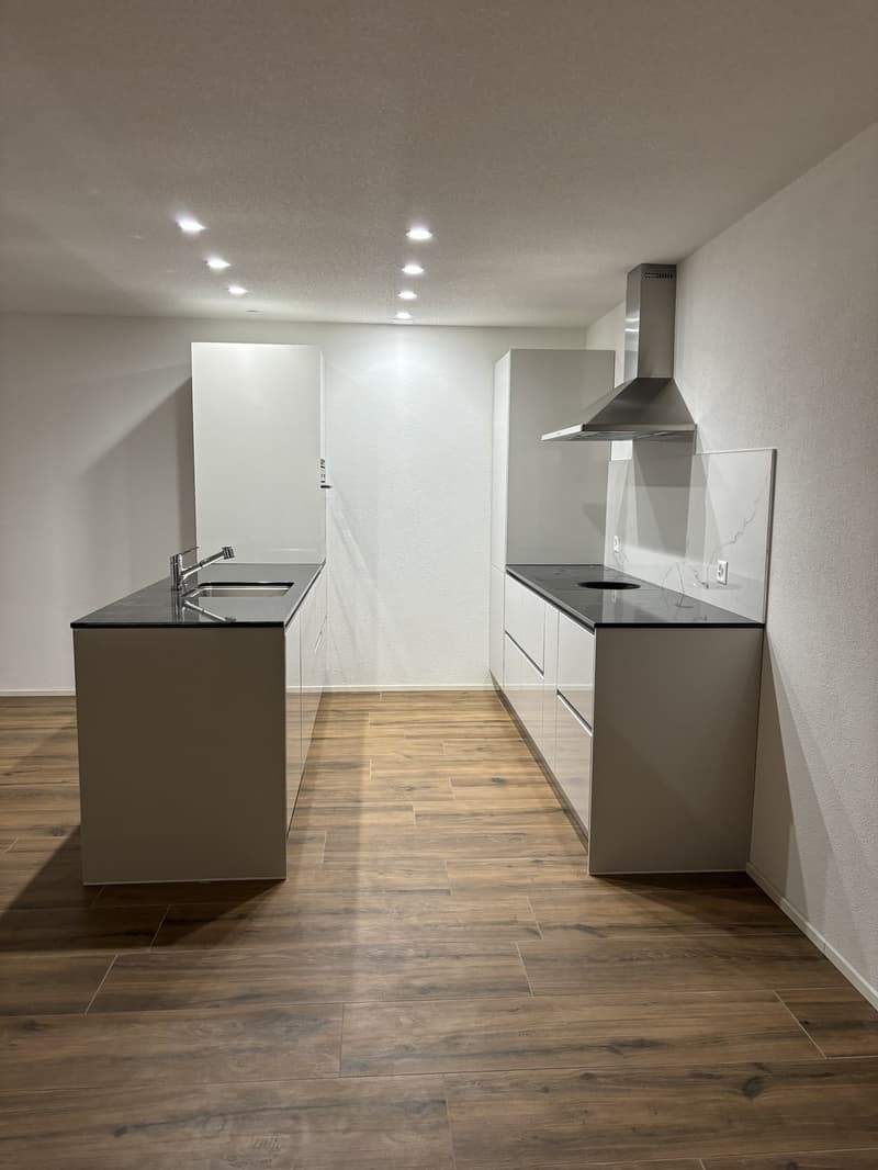 Helle, grosszügige 1.5-Zimmerwohnung  modern & gemütlich (3)