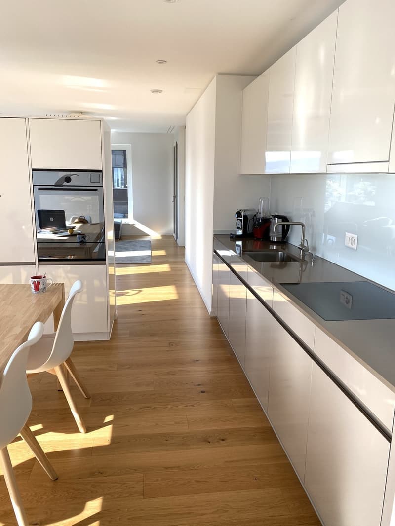 WG Zimmer in Luxus Apartment in Zürich (4)