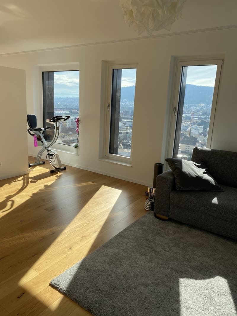 WG Zimmer in Luxus Apartment in Zürich (9)