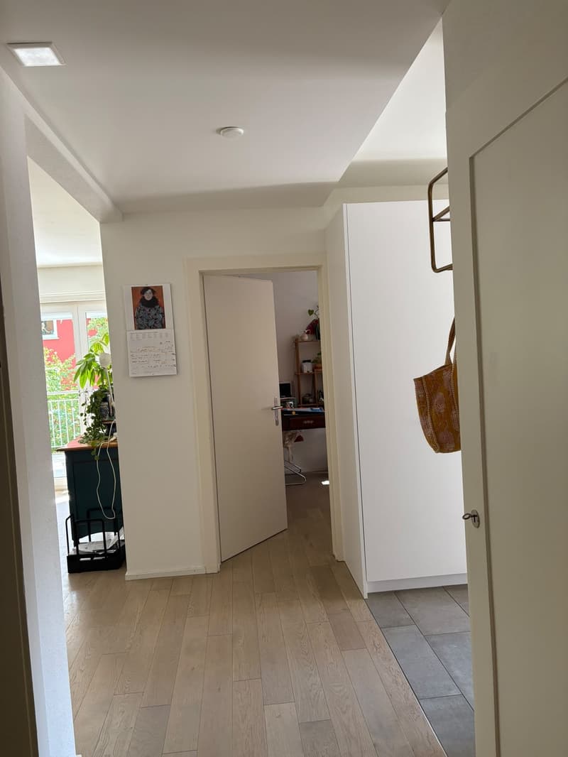 Moderne 3 1/2 Zimmerwohnung (5)