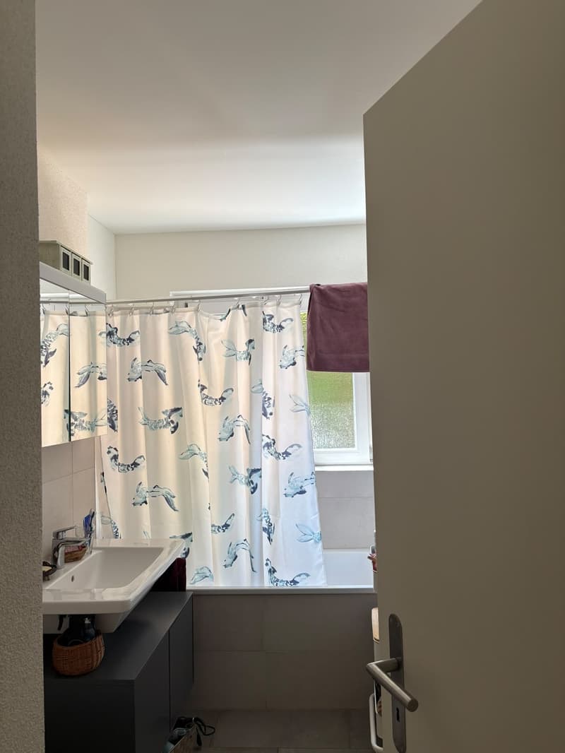 Moderne 3 1/2 Zimmerwohnung (4)
