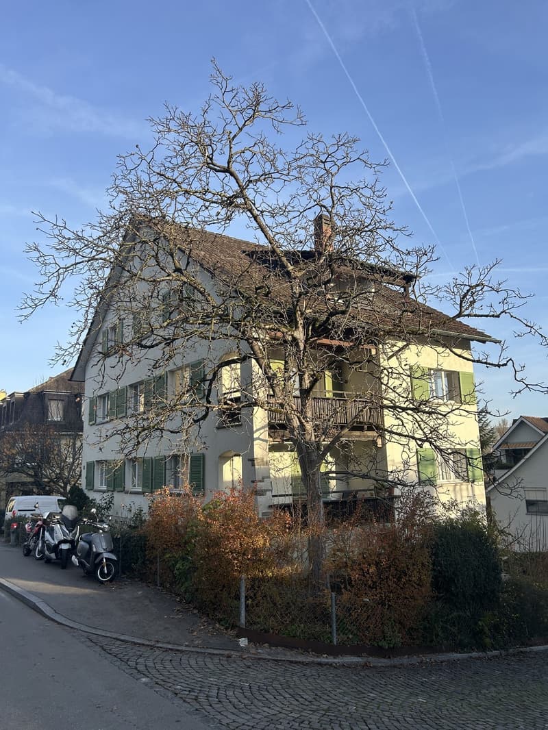 Erstvermietung- Frisch sanierte 4.Zimmer-Wohnung in Wollishofen (1)
