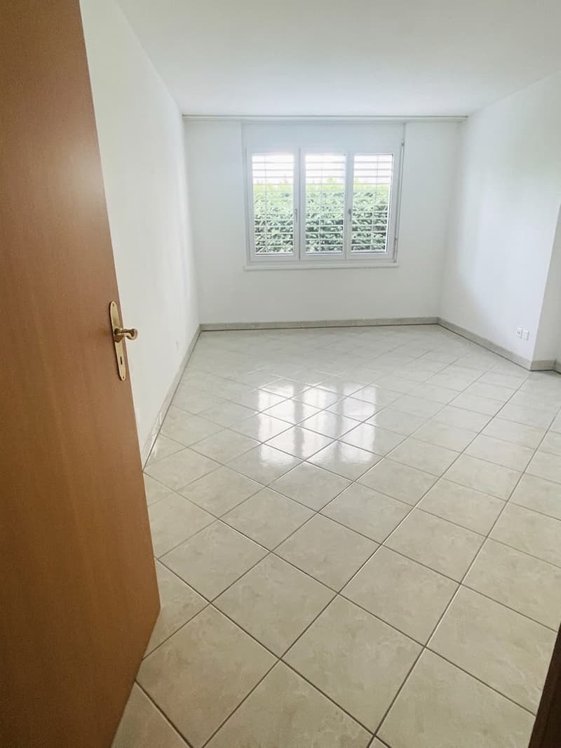 5.5-Zimmer-Gartenwohnung  118 m² Wohnfläche + ca. 66 m² Zusatzfläche + 230 m² Privatgarten (10)