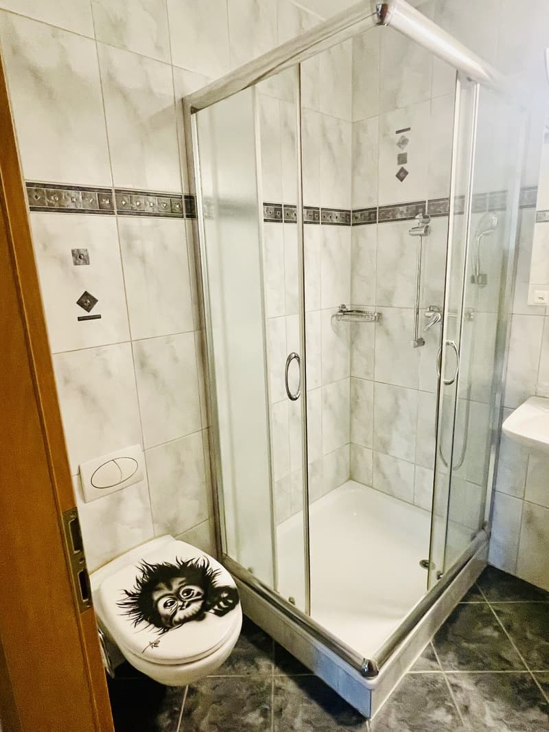 5.5-Zimmer-Gartenwohnung  118 m² Wohnfläche + ca. 66 m² Zusatzfläche + 230 m² Privatgarten (9)