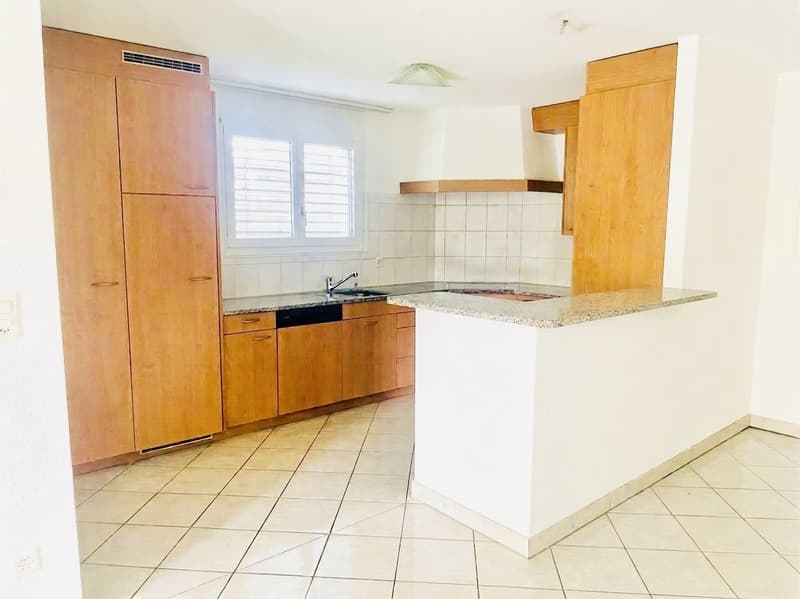 5.5-Zimmer-Gartenwohnung  118 m² Wohnfläche + ca. 66 m² Zusatzfläche + 230 m² Privatgarten (4)