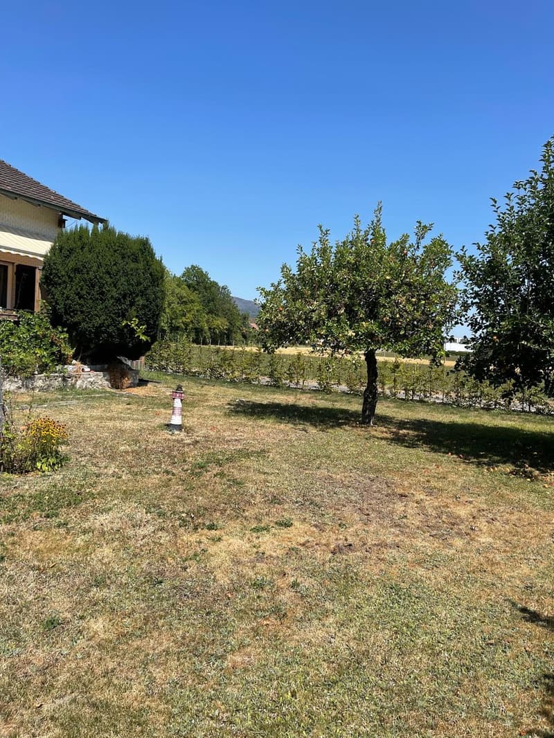 Freistehend | Naturnah | Grosser Garten | Freiraum | Zukunftspotenzial (6)
