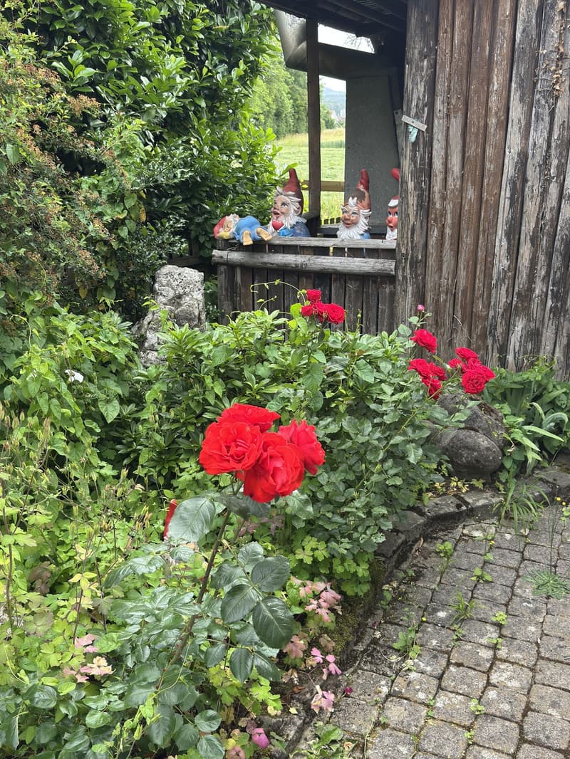 Freistehend | Naturnah | Grosser Garten | Freiraum | Zukunftspotenzial (7)