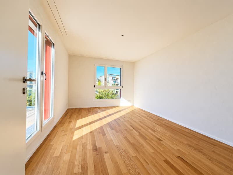 4,5 Zimmer Attikawohnung (3)