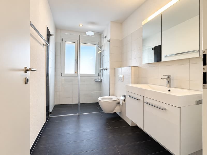 4,5 Zimmer Attikawohnung (7)