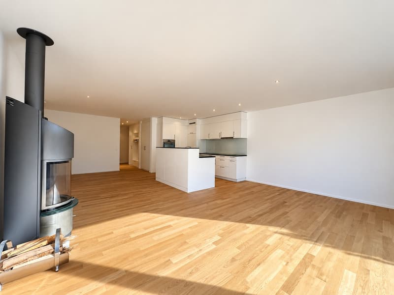 4,5 Zimmer Attikawohnung (10)