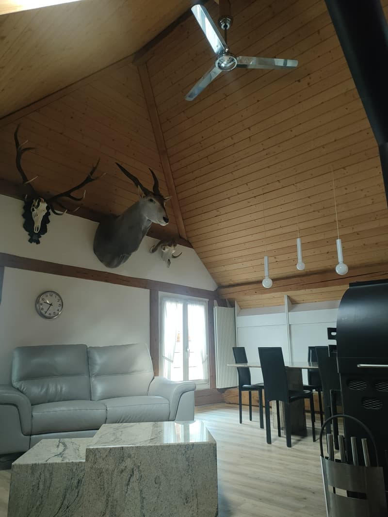 4.5 Zimmer Dachwohnung, CHF 1'750.- inkl. NK (3)