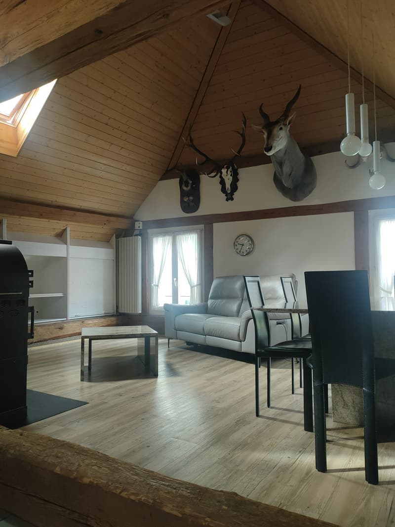 4.5 Zimmer Dachwohnung, CHF 1'750.- inkl. NK (2)