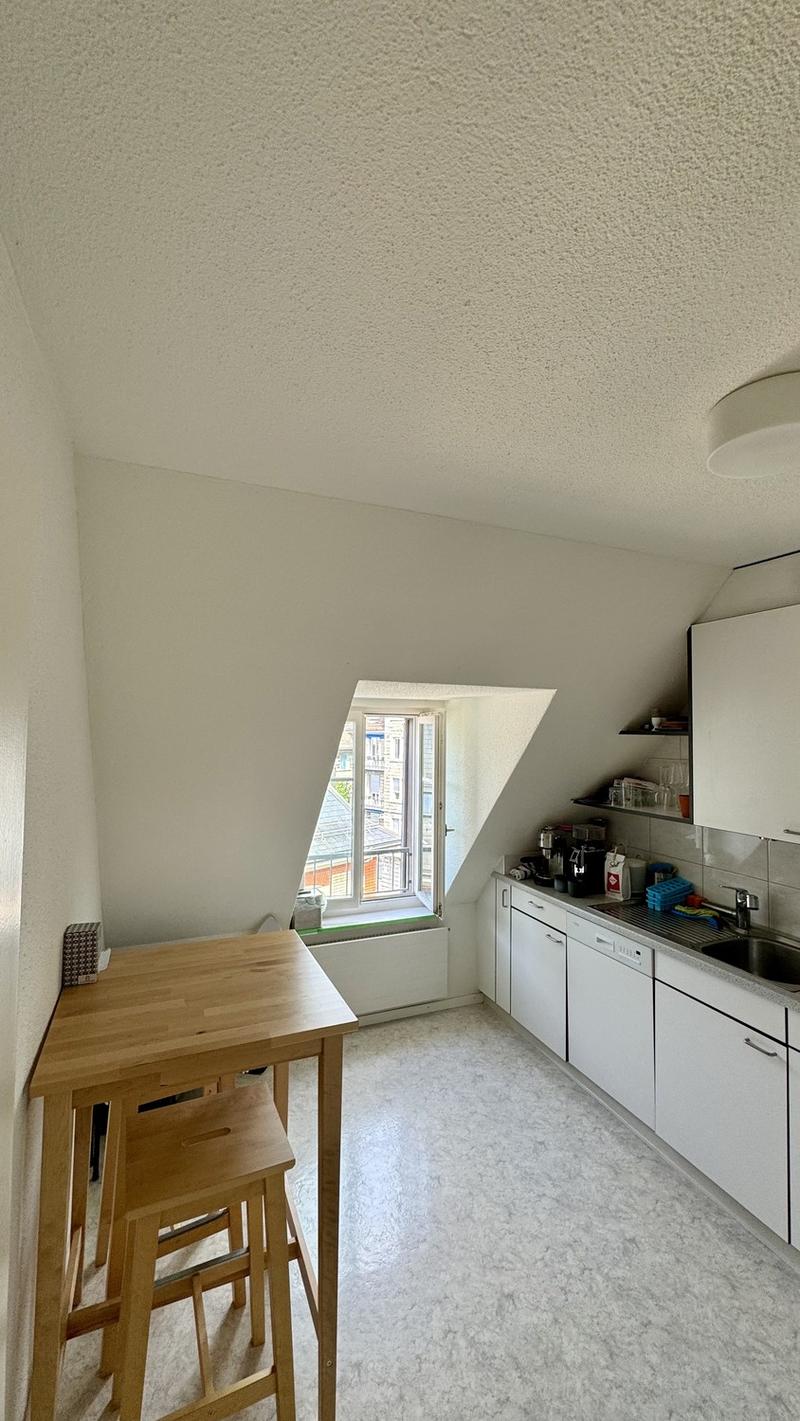 Befristete Attikawohnung mit 60 m² Dachterrasse im Kreis 6 (5)