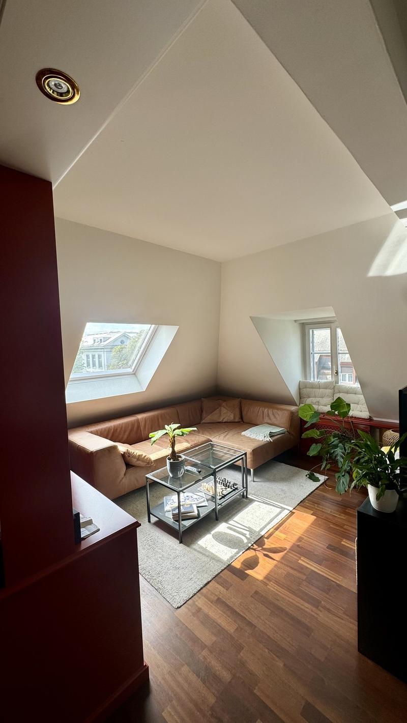 Befristete Attikawohnung mit 60 m² Dachterrasse im Kreis 6 (3)