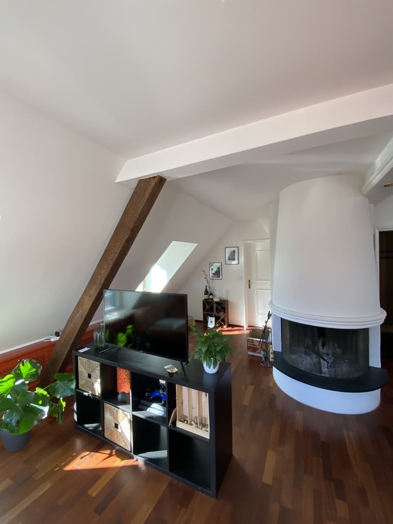 Befristete Attikawohnung mit 60 m² Dachterrasse im Kreis 6 (4)