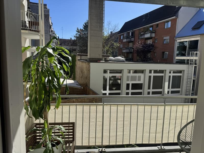 Charmante 3,5 Zimmerwohnung (2)