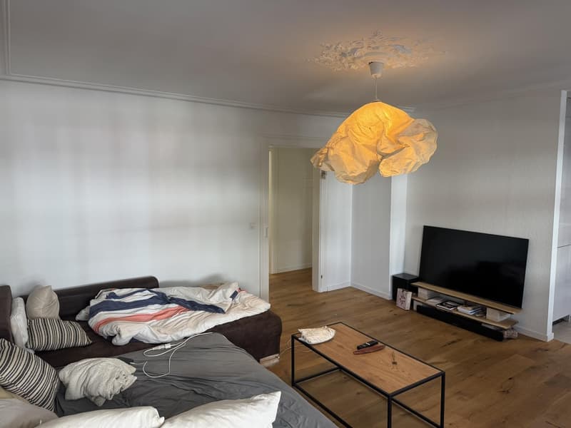Charmante 3,5 Zimmerwohnung (1)