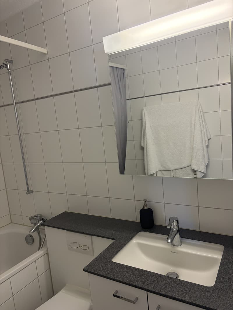 Möblierte Wohnung mit Seesicht zur Untermiete unbefristet (11)