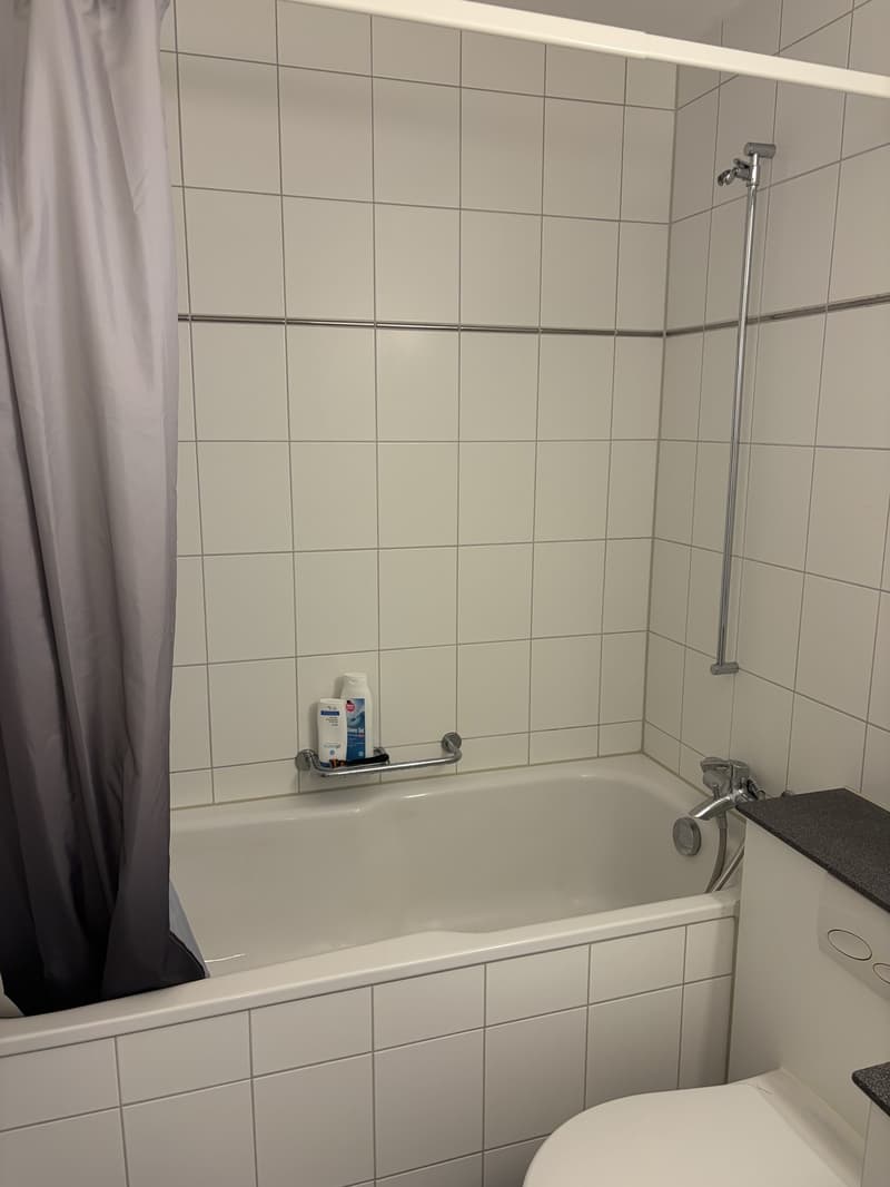 Möblierte Wohnung mit Seesicht zur Untermiete unbefristet (6)