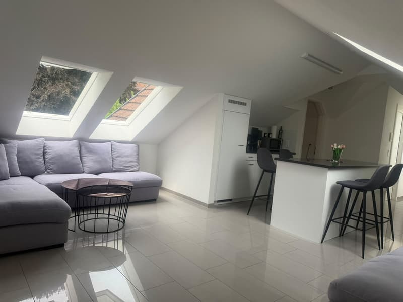 Helle 3.5-Zimmer-Dachwohnung in St. Gallen / Bright 3.5-Room Attic Apartment in St. Gallen (1)