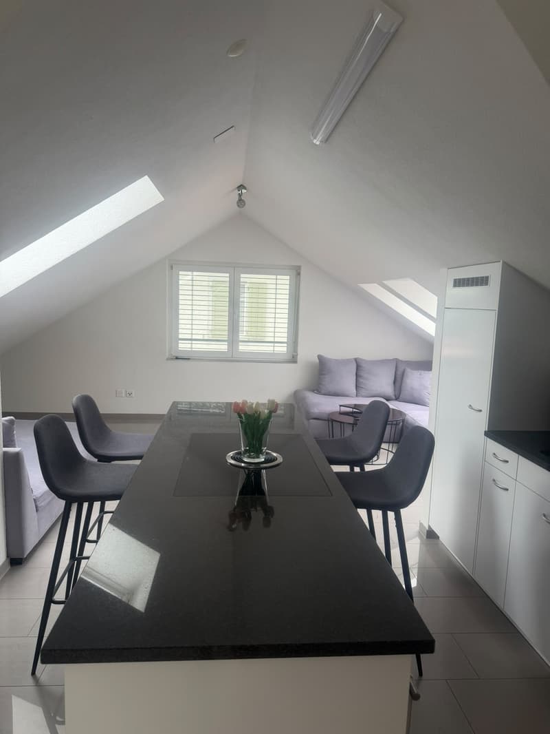 Helle 3.5-Zimmer-Dachwohnung in St. Gallen / Bright 3.5-Room Attic Apartment in St. Gallen (9)