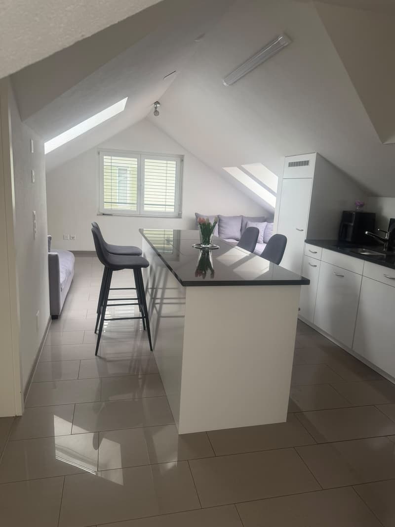 Helle 3.5-Zimmer-Dachwohnung in St. Gallen / Bright 3.5-Room Attic Apartment in St. Gallen (4)