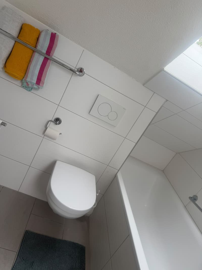 Helle 3.5-Zimmer-Dachwohnung in St. Gallen / Bright 3.5-Room Attic Apartment in St. Gallen (7)