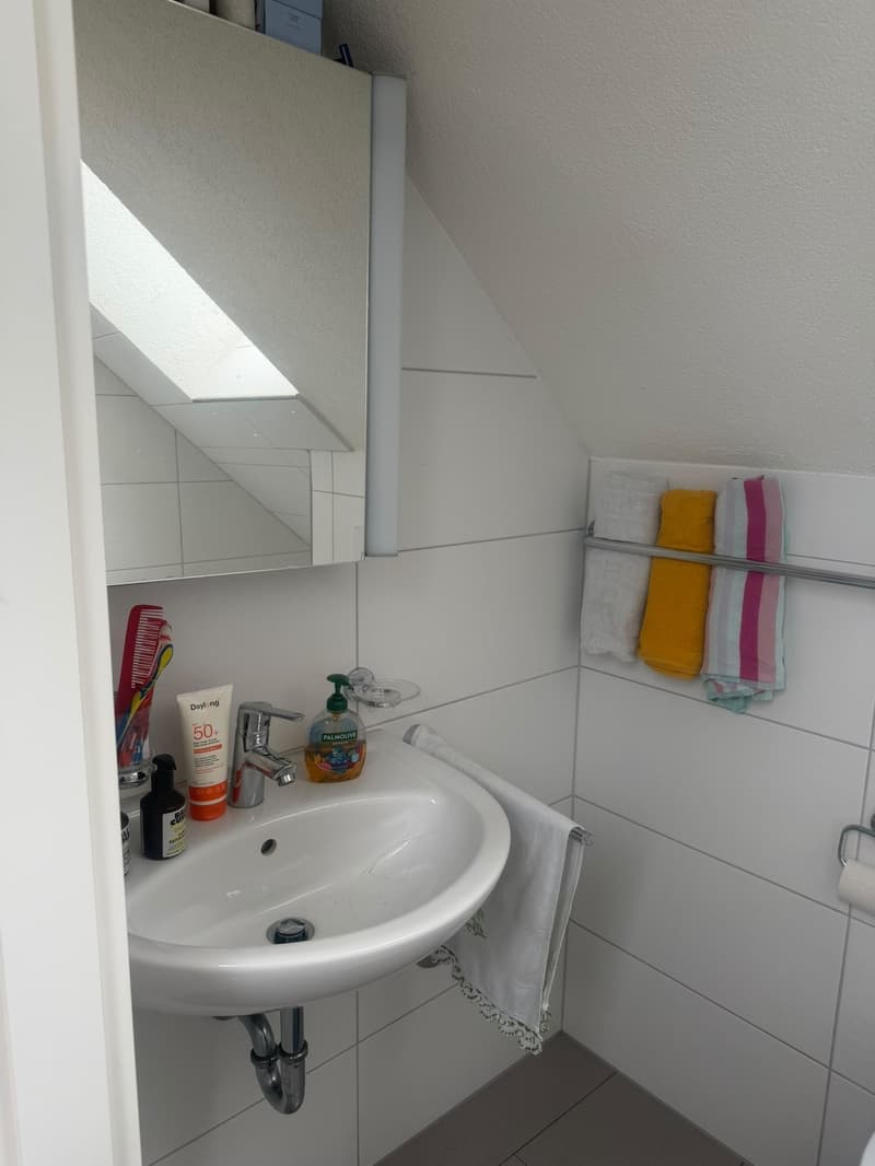 Helle 3.5-Zimmer-Dachwohnung in St. Gallen / Bright 3.5-Room Attic Apartment in St. Gallen (8)