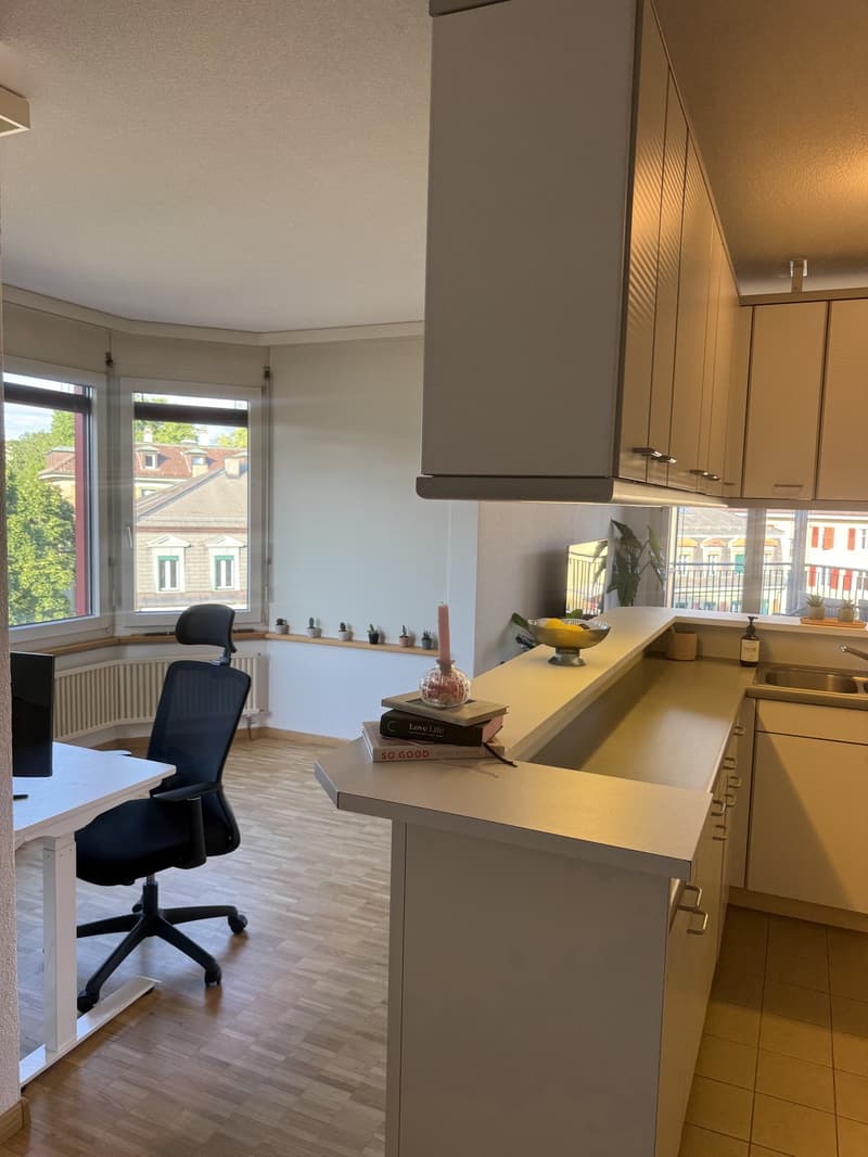 100msq Apartment centre Bern (3007) (3)