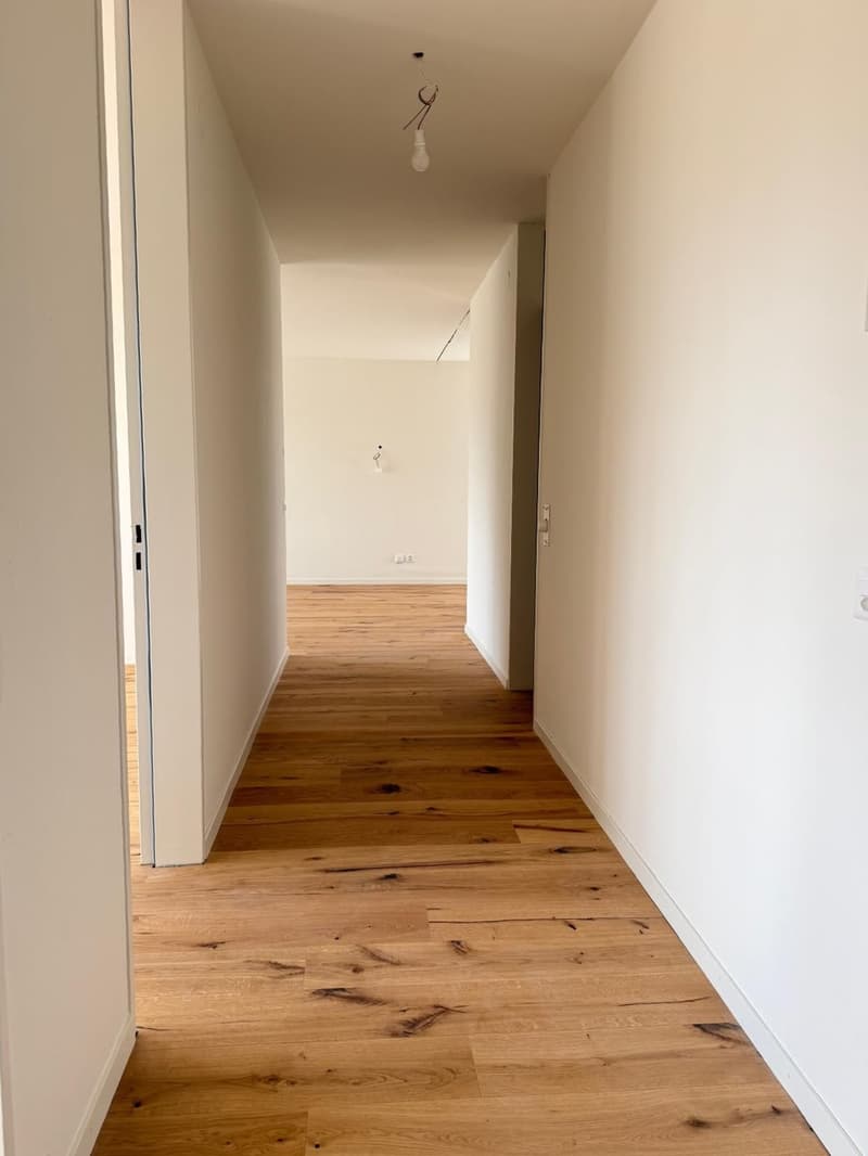 Neu sanierte 3.5-Zimmer-Wohnung mit schöner Aussicht (6)