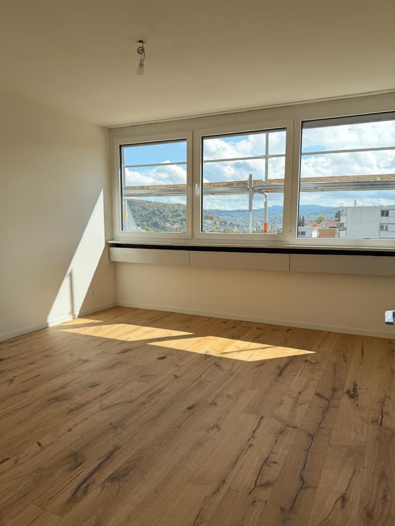 Neu sanierte 3.5-Zimmer-Wohnung mit schöner Aussicht (8)