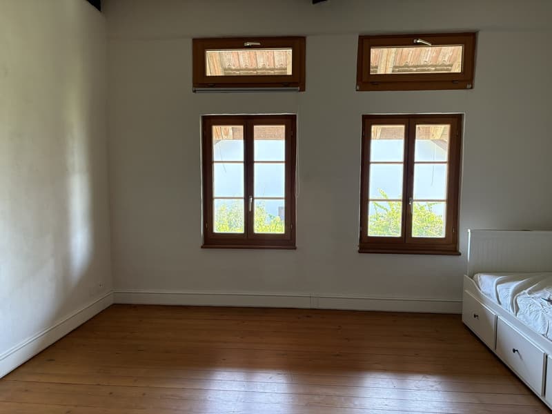 Charmantes 6.5 Zimmerhaus in Mettmenstetten (9)