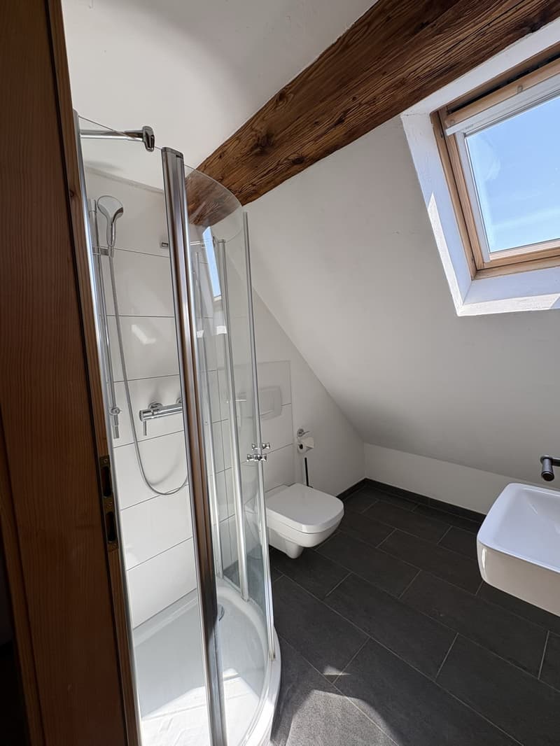 Charmantes 6.5 Zimmerhaus in Mettmenstetten (3)