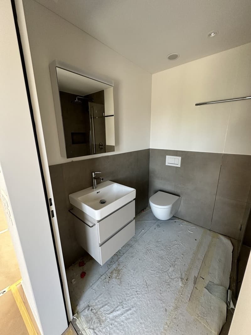 Luxurious Penthouse Apartment for Rent - Prime Location in Goldau (6)