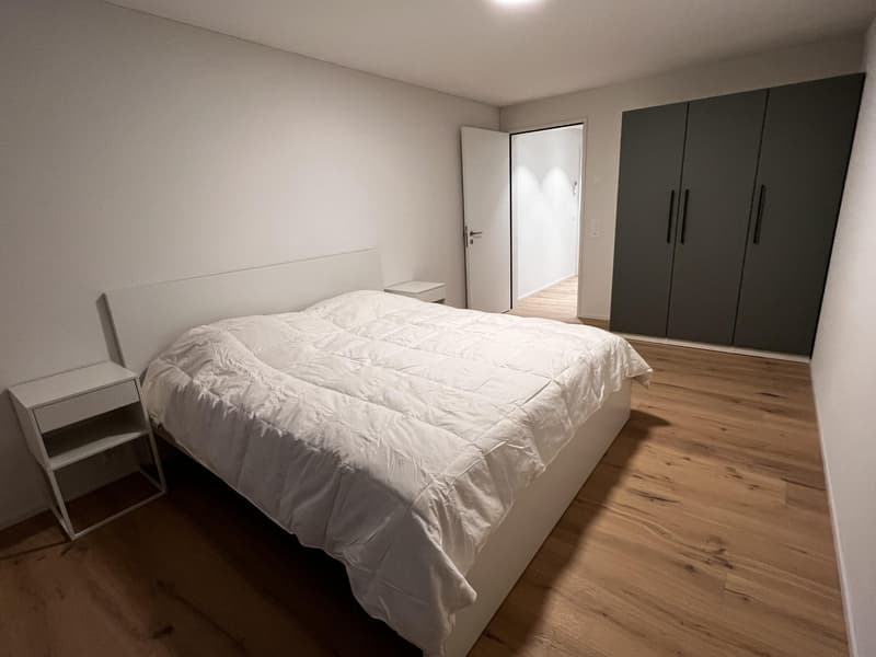 Luxurious Penthouse Apartment for Rent - Prime Location in Goldau (3)