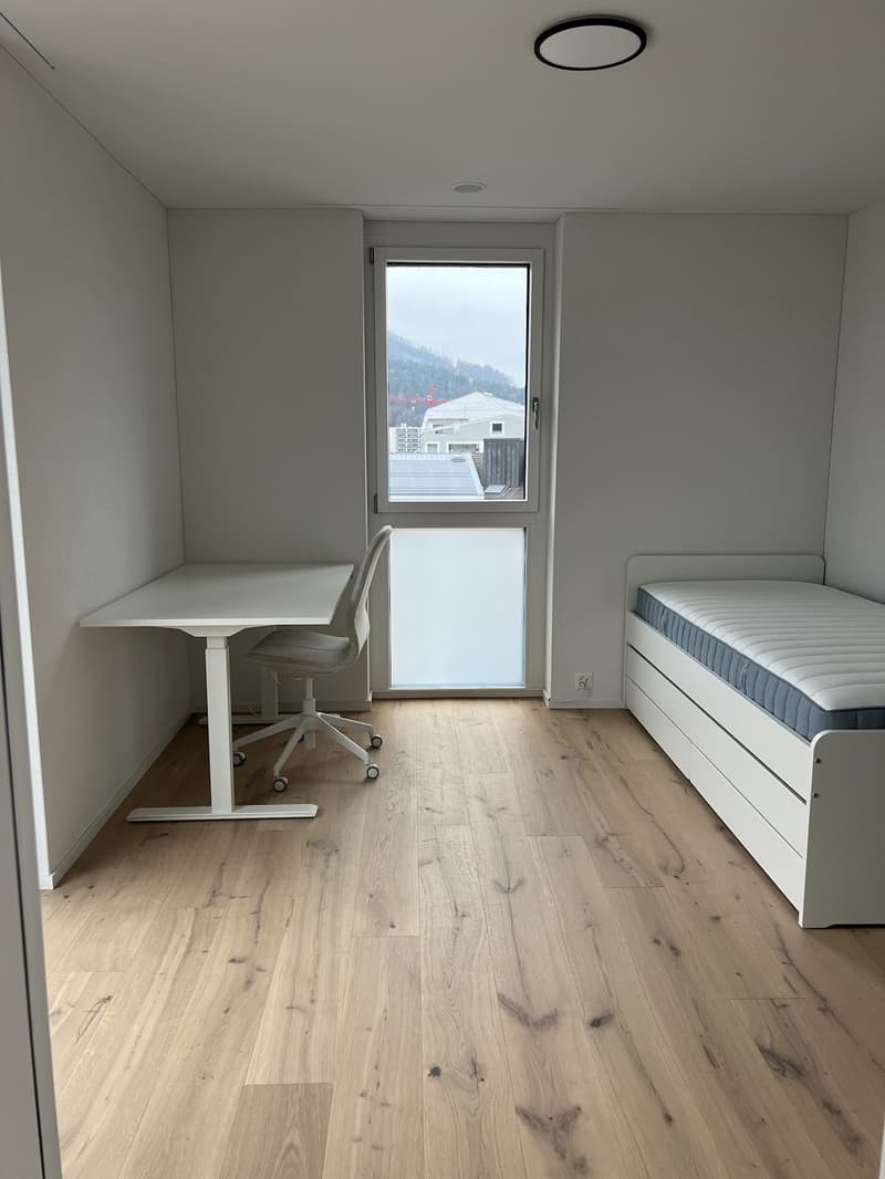 Luxurious Penthouse Apartment for Rent - Prime Location in Goldau (7)