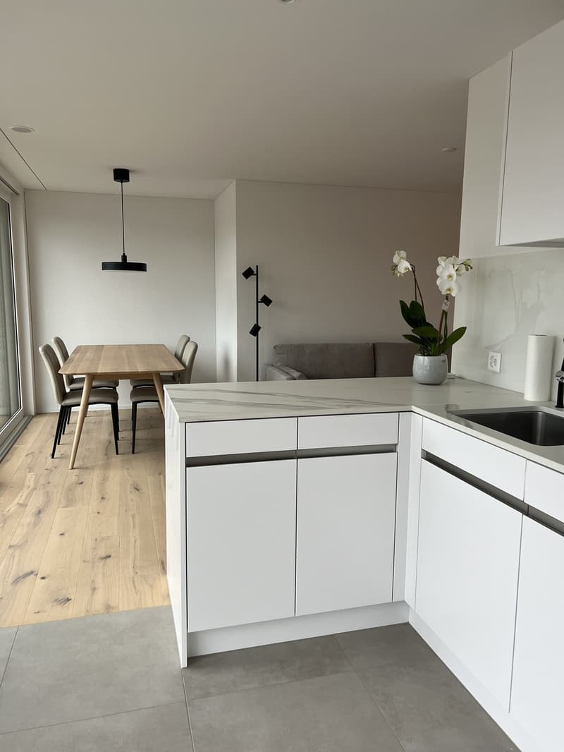 Luxurious Penthouse Apartment for Rent - Prime Location in Goldau (4)