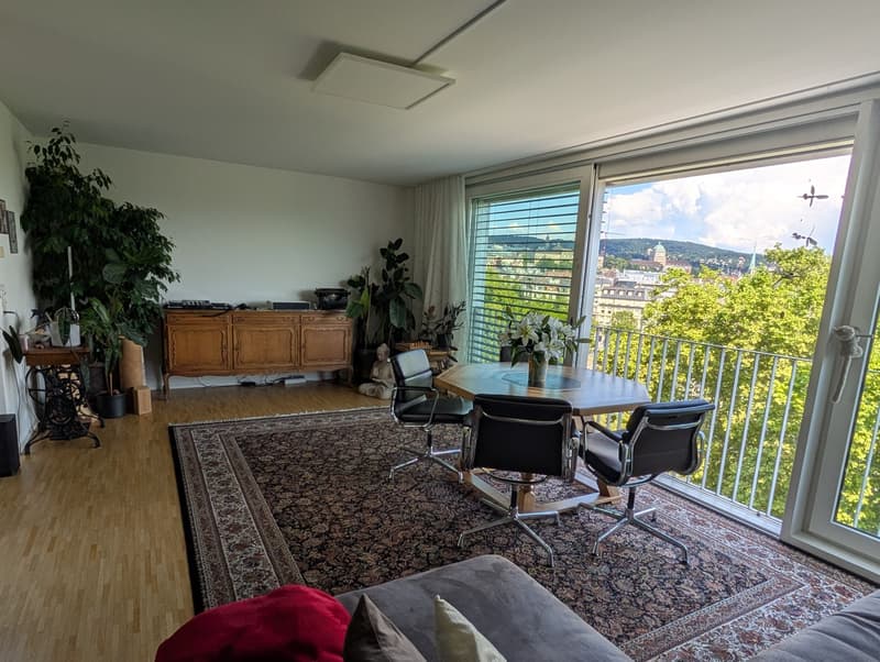 Penthouse Triplex mit privater Dachterasse, 7ter Stock, 3 Min zum HB & direkt an der Sihl (3)