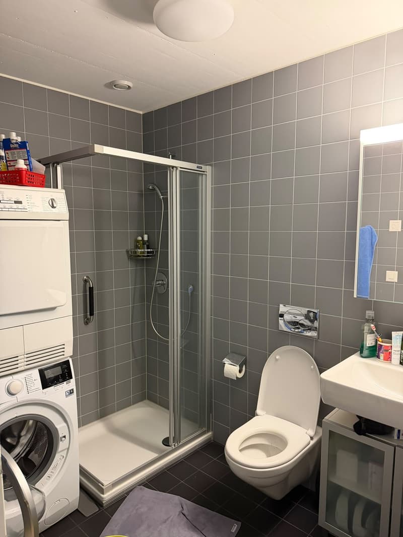 Moderne 3.5-Zimmer-Wohnung mit 26 m² Terrasse (10)