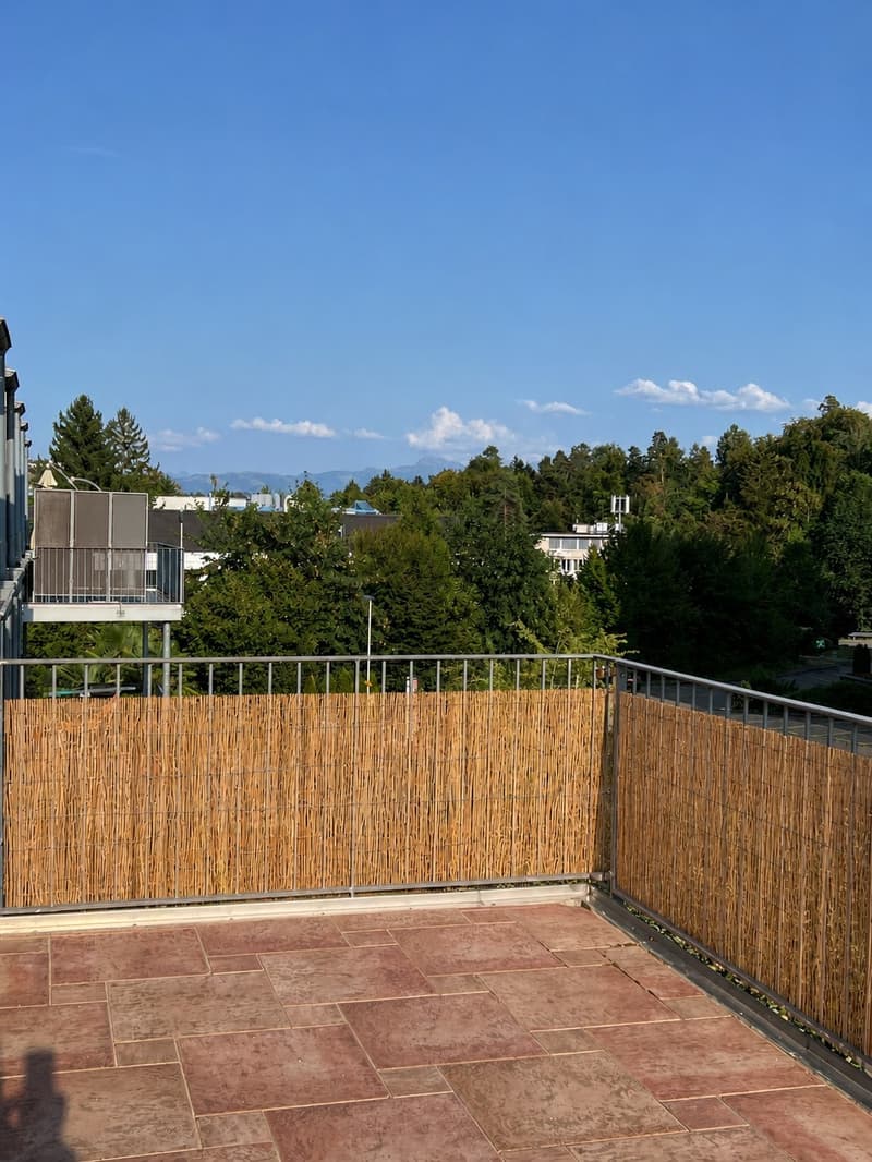 Blick ins Grüne