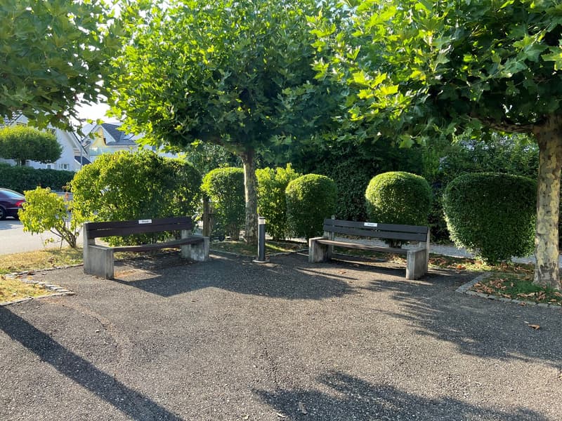 Parkähnlihce Umgebung