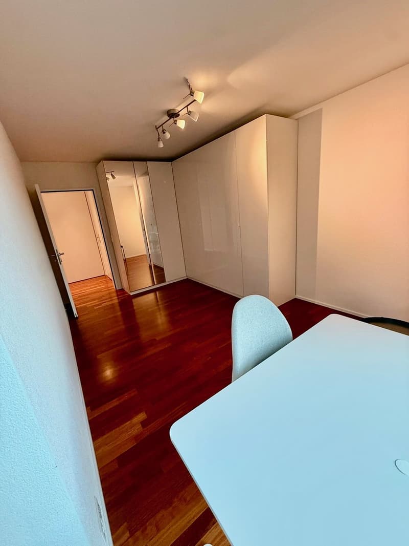 Möblierte 3 1/2 Zimmer-Wohnung in Wipkingen per sofort bis März 2027 mieten (8)