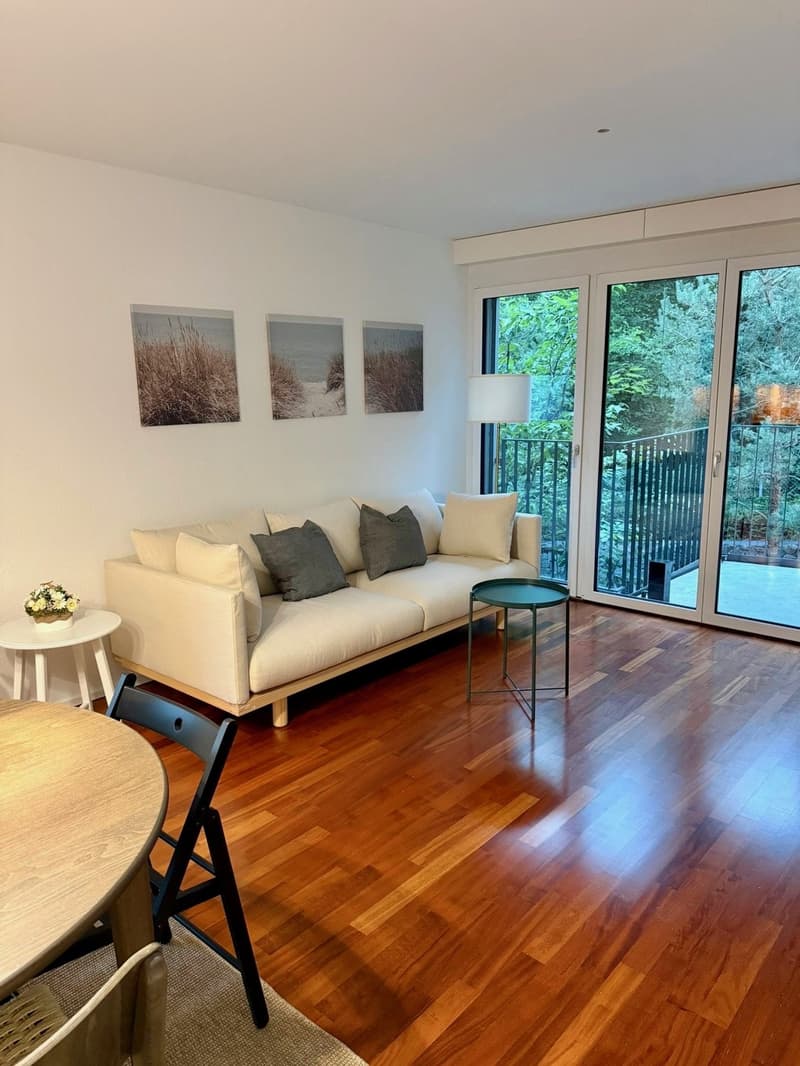 Möblierte 3 1/2 Zimmer-Wohnung in Wipkingen per sofort bis März 2027 mieten (4)