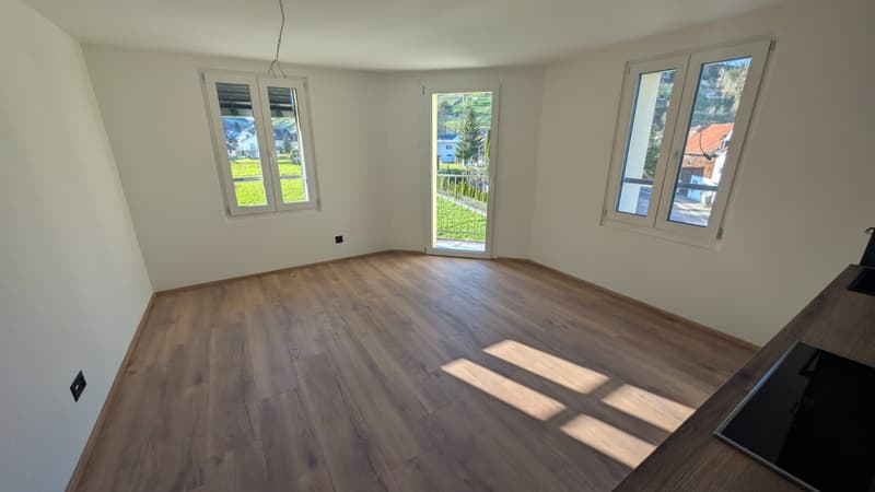 2 ½ Zimmer-Wohnung, 9424 Rheineck (9)