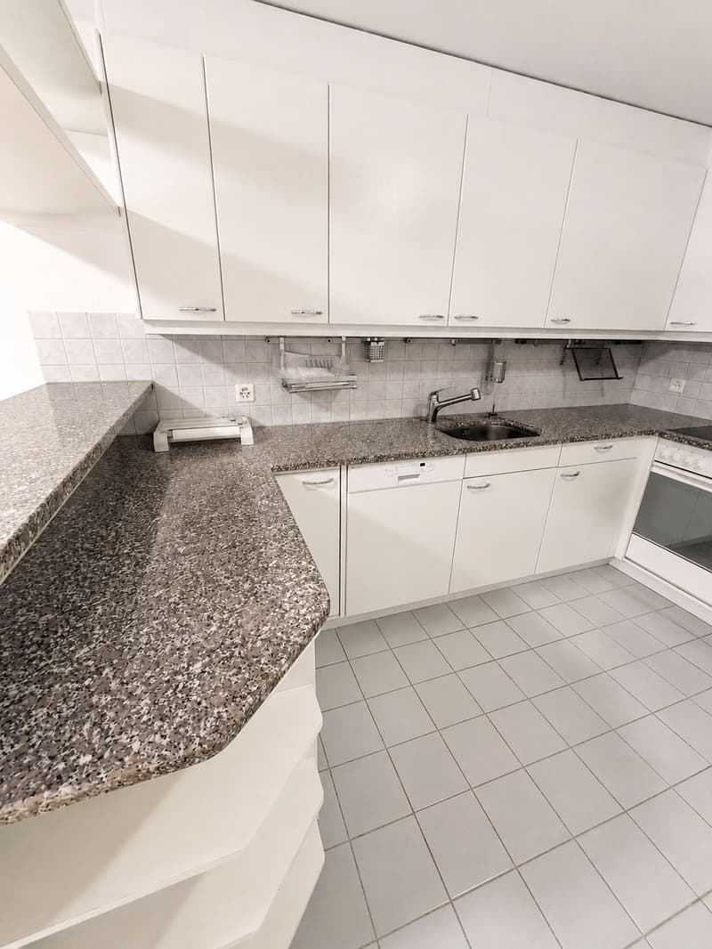 Granit Hardtop, Geschirrspüler und Spüle