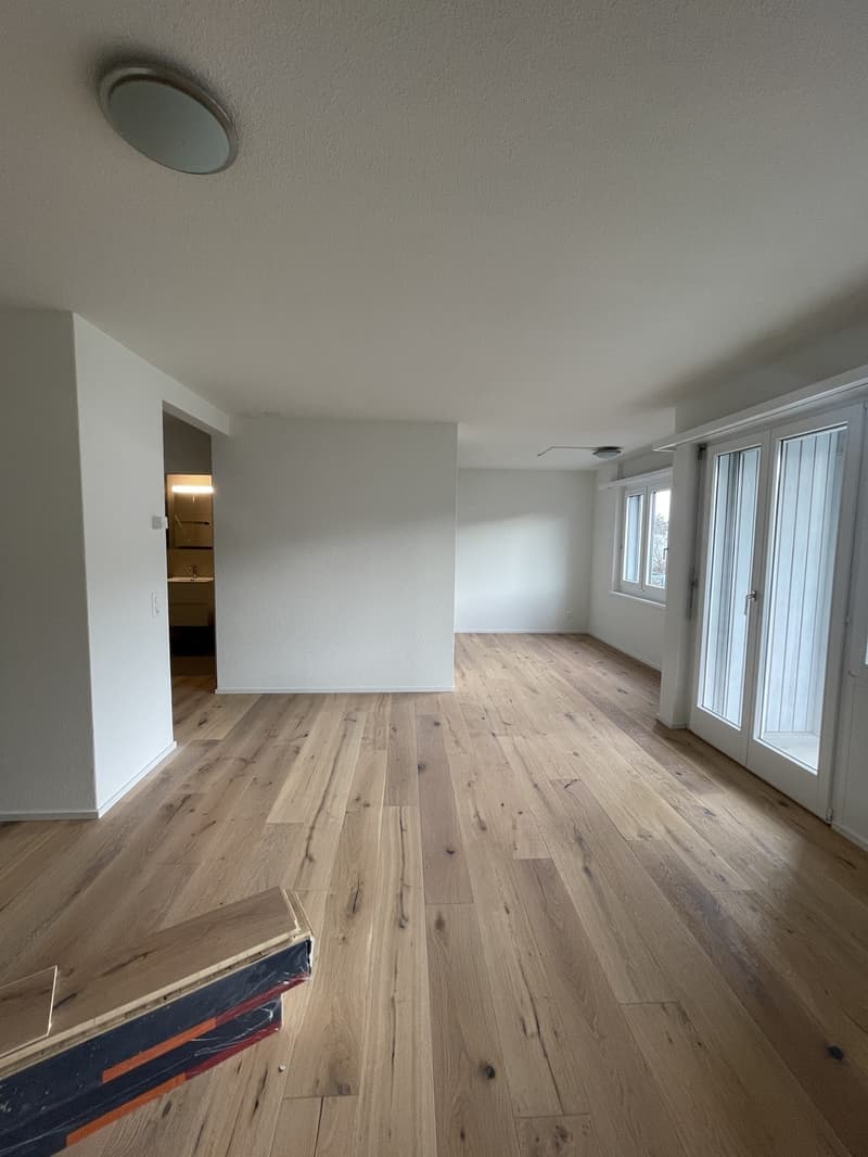 MODERNE, sanierte 1.5-Zimmerwohnung an zentraler Lage (1)