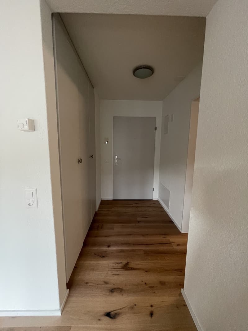 MODERNE, sanierte 1.5-Zimmerwohnung an zentraler Lage (10)